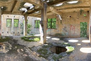 iPhone 13 f/1.6 1/460sec ISO-125 5.0999999046326mm Horizontal (normal)