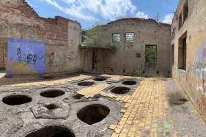 iPhone 13 f/1.6 1/2667sec ISO-50 5.0999999046326mm Horizontal (normal)