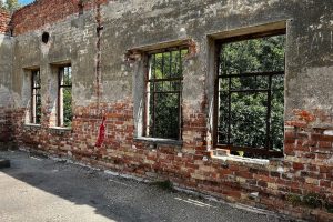 iPhone 13 f/1.6 1/992sec ISO-50 5.0999999046326mm Horizontal (normal)