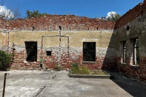 iPhone 13 f/1.6 1/4016sec ISO-50 5.0999999046326mm Horizontal (normal)