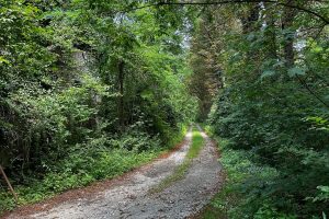 iPhone 13 f/1.6 1/140sec ISO-32 5.0999999046326mm Horizontal (normal)