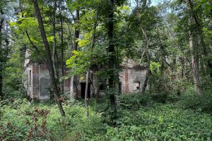 iPhone 13 f/1.6 1/169sec ISO-40 5.0999999046326mm Horizontal (normal)