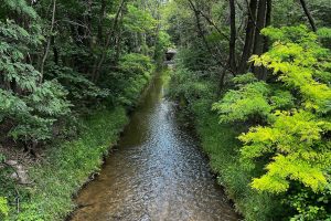 iPhone 13 f/1.6 1/122sec ISO-40 5.0999999046326mm Horizontal (normal)