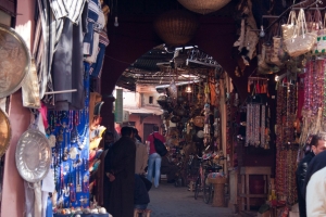 Canon EOS 40D f/5.6 1/50sec ISO-500 50mm