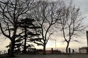 iPhone 13 f/1.6 1/422sec ISO-50 5.1mm