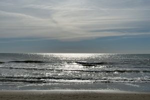 iPhone 13 f/1.6 1/20408sec ISO-40 5.1mm