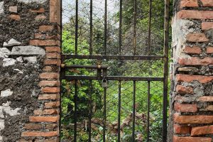 iPhone 13 f/1.6 1/251sec ISO-40 5.1mm