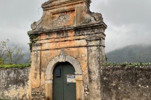 iPhone 13 f/1.6 1/437sec ISO-50 5.1mm