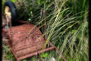 iPhone 13 f/1.6 1/515sec ISO-50 5.0999999046326mm Horizontal (normal)