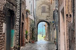 iPhone 13 f/1.6 1/50sec ISO-160 5.0999999046326mm Horizontal (normal)