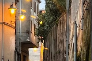 iPhone 13 f/1.6 1/100sec ISO-64 5.0999999046326mm Horizontal (normal)