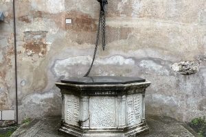 iPhone 13 f/1.6 1/409sec ISO-50 5.0999999046326mm Horizontal (normal)