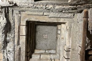 iPhone 13 f/1.6 1/50sec ISO-320 5.0999999046326mm Horizontal (normal)