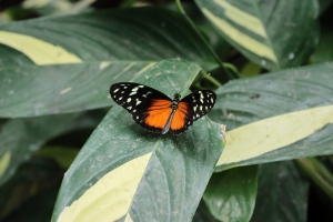 Canon EOS 90D f/5.6 1/200sec ISO-2000 85mm Horizontal (normal)