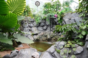 Canon EOS 90D f/5.6 1/60sec ISO-400 22mm Horizontal (normal)