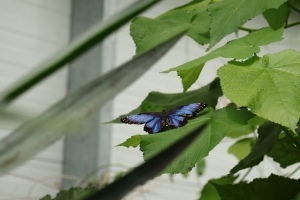 Canon EOS 90D f/5.6 1/160sec ISO-160 80mm Horizontal (normal)