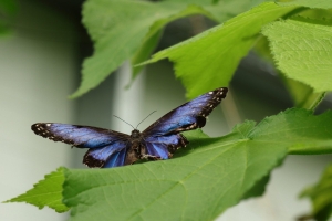 Canon EOS 90D f/5.6 1/160sec ISO-200 80mm Horizontal (normal)