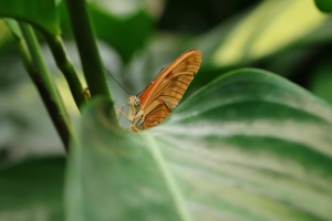 Canon EOS 90D f/5.6 1/200sec ISO-1250 85mm Horizontal (normal)