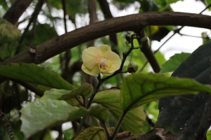 Canon EOS 90D f/5.6 1/200sec ISO-640 85mm Horizontal (normal)