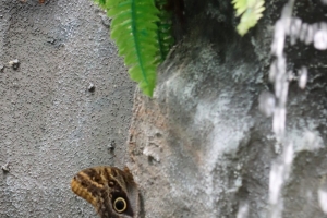 Canon EOS 90D f/5.6 1/200sec ISO-1250 85mm Horizontal (normal)