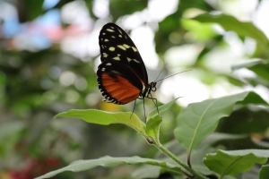 Canon EOS 90D f/5.6 1/200sec ISO-2000 85mm Horizontal (normal)