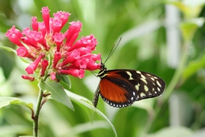 Canon EOS 90D f/5.6 1/160sec ISO-800 85mm Horizontal (normal)