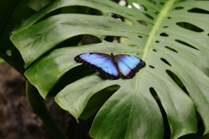 Canon EOS 90D f/5.6 1/200sec ISO-320 85mm Horizontal (normal)