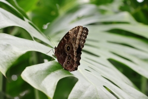 Canon EOS 90D f/5.6 1/160sec ISO-640 85mm Horizontal (normal)