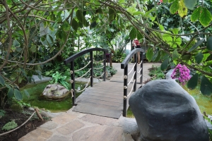 Canon EOS 90D f/5.6 1/60sec ISO-800 17mm Horizontal (normal)