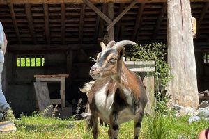 iPhone 13 f/1.6 1/1721sec ISO-50 5.1mm