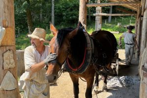 iPhone 13 f/1.6 1/693sec ISO-50 5.1mm