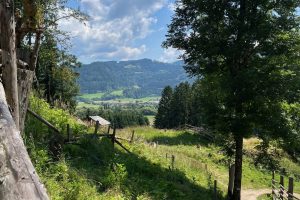 iPhone 13 f/1.6 1/3135sec ISO-50 5.1mm