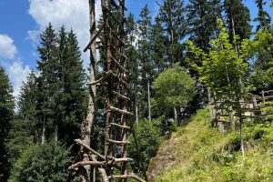 iPhone 13 f/1.6 1/1862sec ISO-50 5.1mm