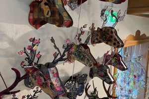 iPhone 13 f/1.6 1/50sec ISO-100 5.1mm