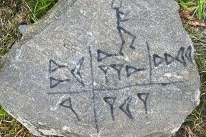 iPhone 13 f/1.6 1/309sec ISO-50 5.1mm