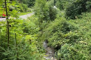 iPhone 13 f/1.6 1/304sec ISO-50 5.1mm