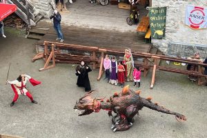 iPhone 13 f/1.6 1/555sec ISO-50 5.1mm