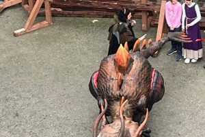 iPhone 13 f/1.6 1/473sec ISO-50 5.1mm