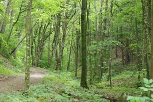 Canon EOS 90D f/5.6 1/100sec ISO-1600 50mm Horizontal (normal)