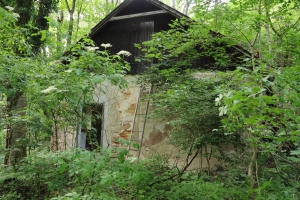 Canon EOS 90D f/5.6 1/60sec ISO-1000 17mm Horizontal (normal)