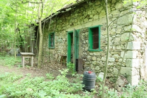 Canon EOS 90D f/5.6 1/60sec ISO-4000 17mm Horizontal (normal)