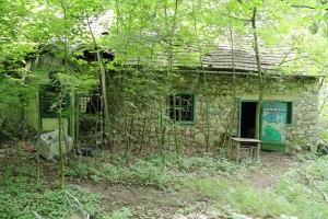 Canon EOS 90D f/5.6 1/60sec ISO-3200 17mm Horizontal (normal)