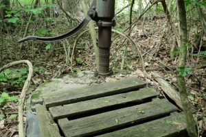 Canon EOS 90D f/5.6 1/60sec ISO-4000 17mm Horizontal (normal)