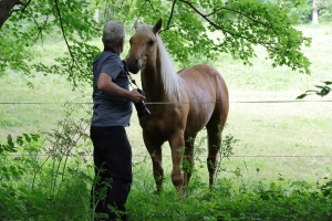 Canon EOS 90D f/5.6 1/160sec ISO-800 76mm Horizontal (normal)