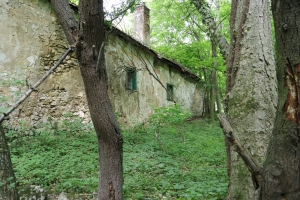 Canon EOS 90D f/5.6 1/60sec ISO-640 17mm Horizontal (normal)