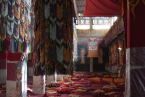 Canon EOS 40D f/4 1/3sec ISO-100 22mm