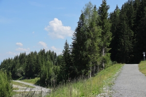 Canon EOS 90D f/5 1/800sec ISO-100 35mm Horizontal (normal)