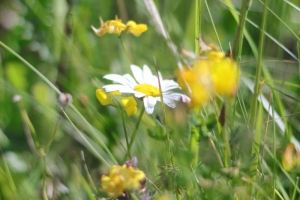 Canon EOS 90D f/2.2 1/2000sec ISO-100 50mm Horizontal (normal)