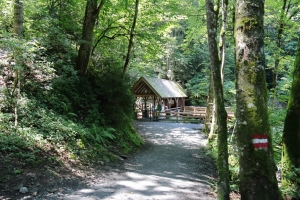 Canon EOS 90D f/4 1/80sec ISO-250 17mm Horizontal (normal)