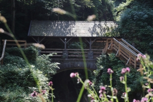 Canon EOS 90D f/5.6 1/125sec ISO-100 50mm Horizontal (normal)